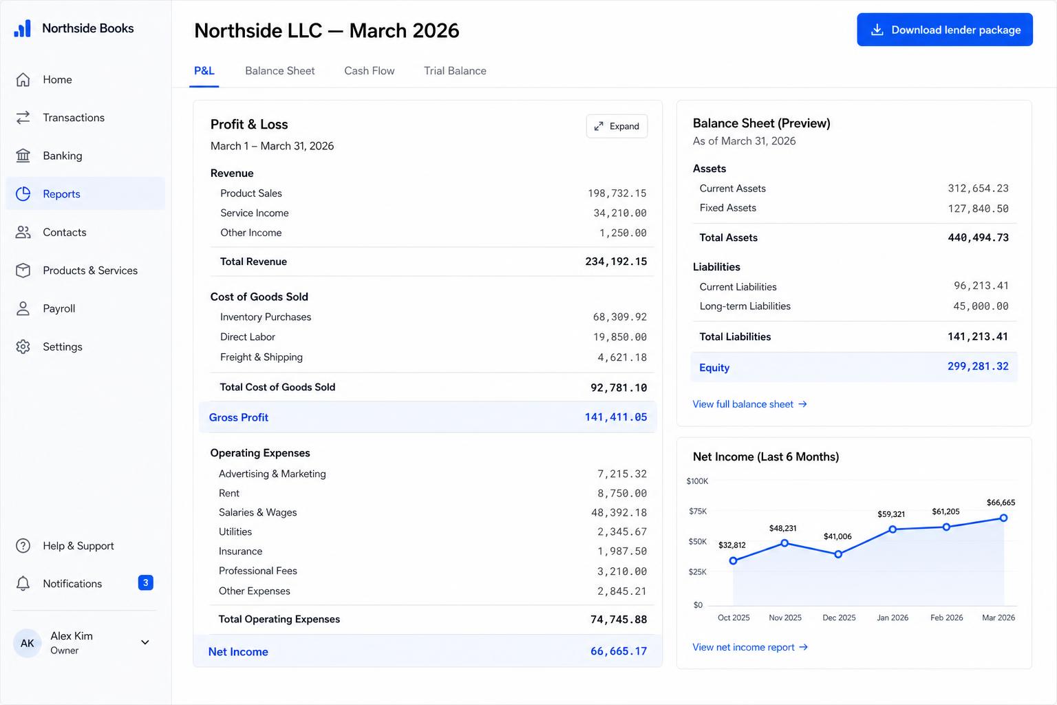 Profit and loss statement with balance sheet preview and net income trend chart